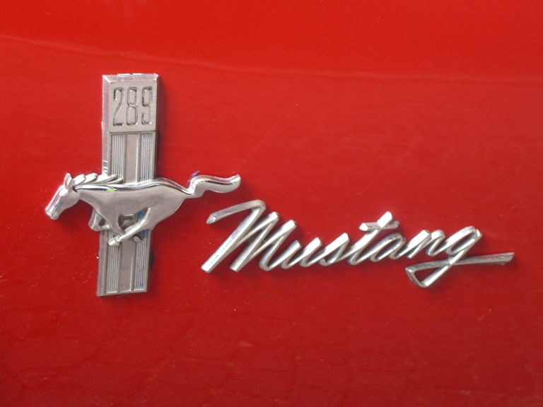 [Immagine: mustang1.JPG]