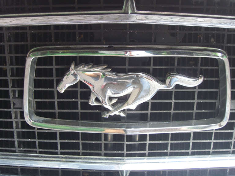 [Immagine: mustang2.JPG]