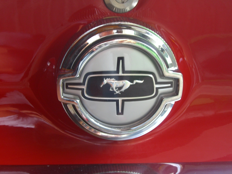 [Immagine: mustang3.JPG]