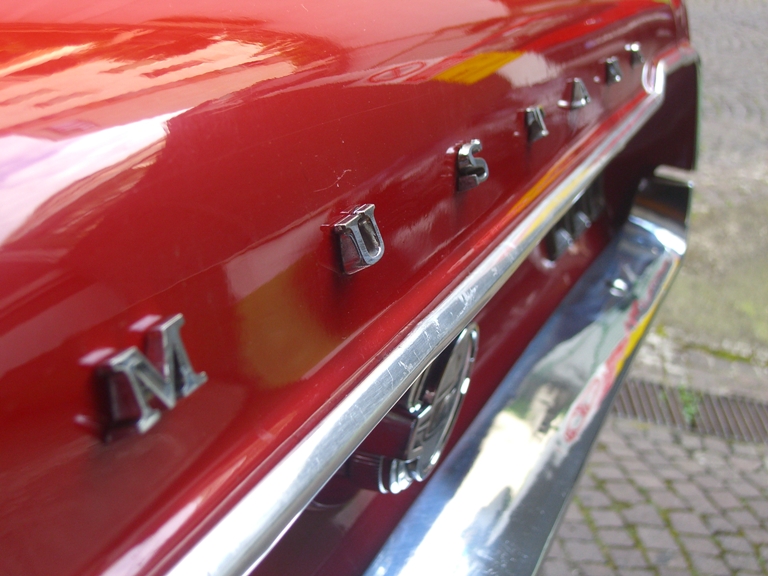 [Immagine: mustang4.JPG]
