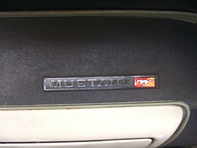 [Immagine: mustang5.JPG]