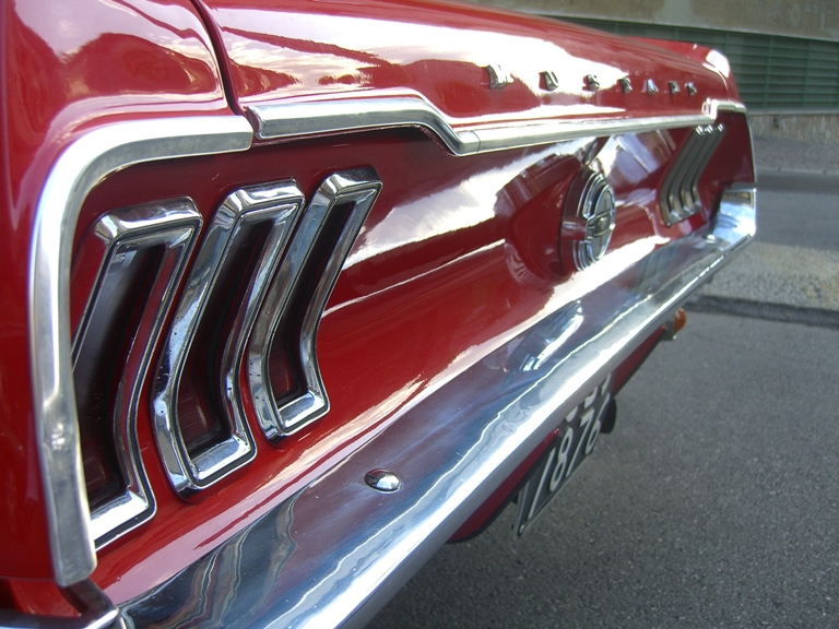 [Immagine: mustang6.JPG]