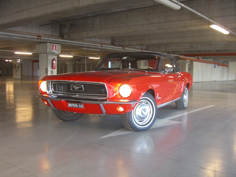 [Immagine: mustangbicocca1.JPG]