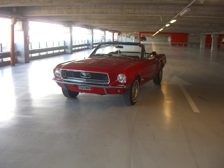 [Immagine: mustangbicocca3.JPG]