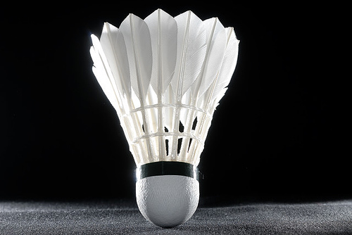 [Immagine: badiminton.jpg]