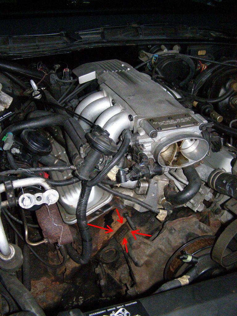 [Immagine: engine%20number.JPG]