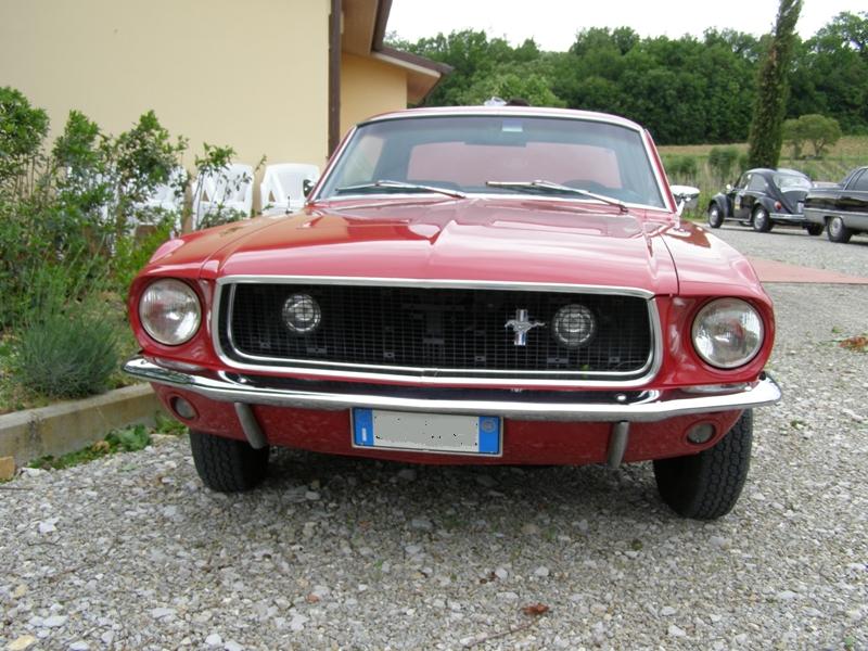 [Immagine: stang%20front.JPG]