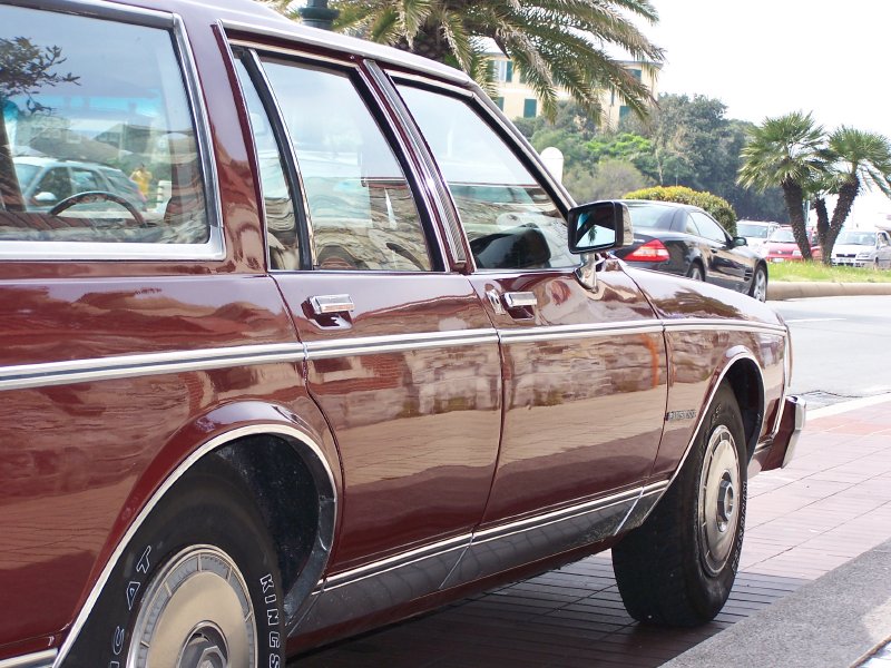 [Immagine: 100_5951%20800x600.jpg]