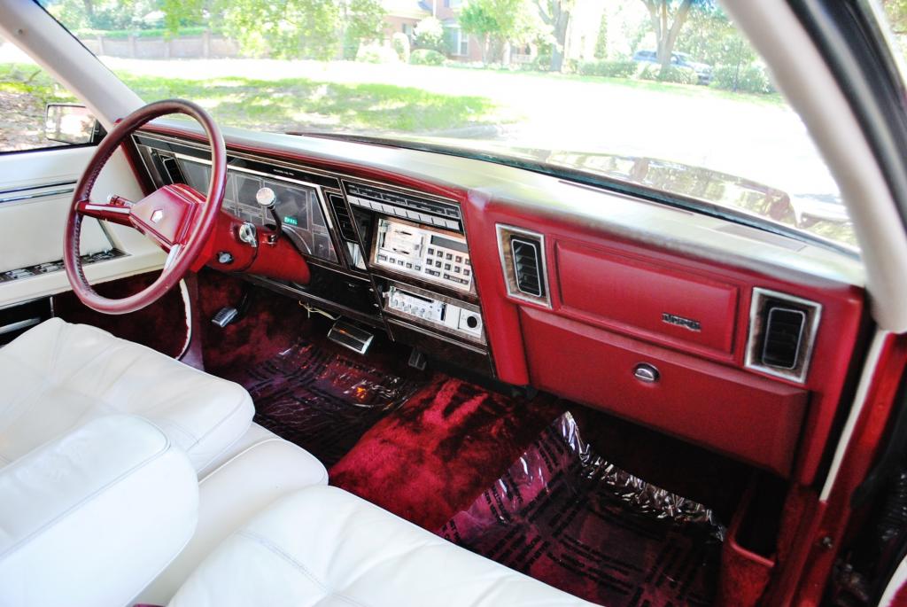 [Immagine: DSC_0010.jpg]