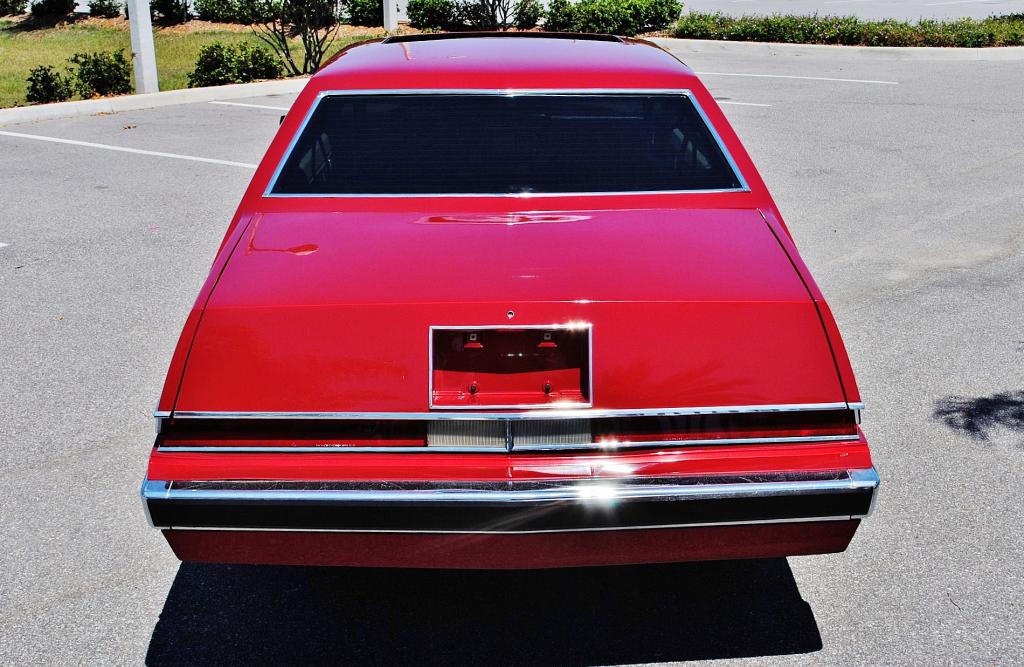 [Immagine: DSC_0026.jpg]