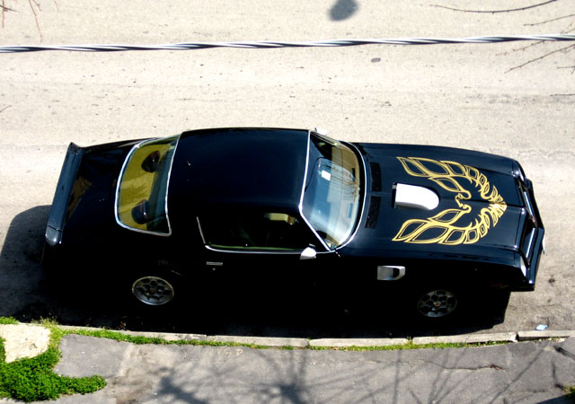 [Immagine: varie%20001b.jpg]