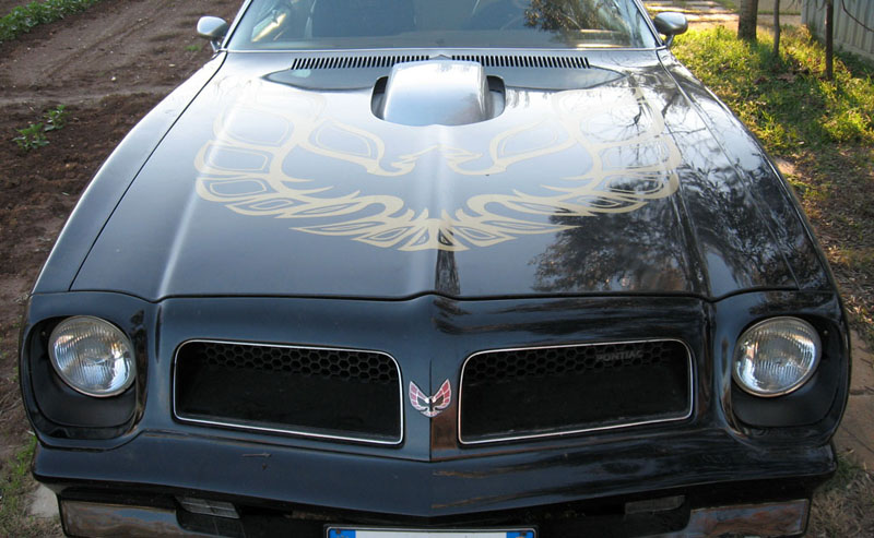 [Immagine: varie%20014b.jpg]