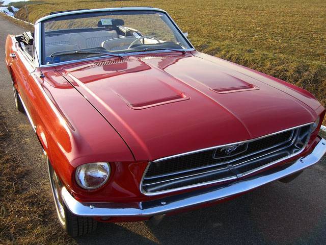 [Immagine: mustang68_mustang68_1.jpg]