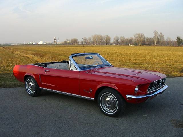 [Immagine: mustang68_mustang68_4.jpg]