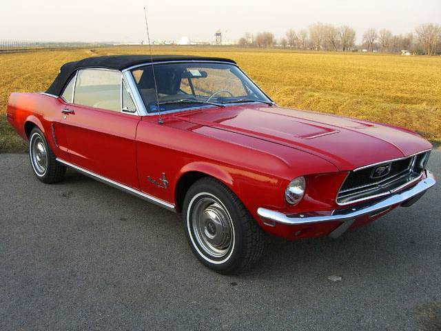 [Immagine: mustang68_mustang68_5.jpg]